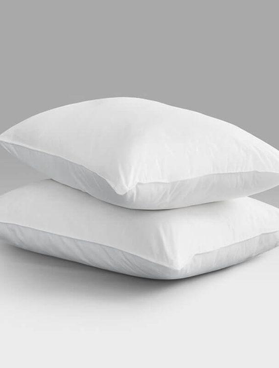 Filled Pillows - Pack Of 2
